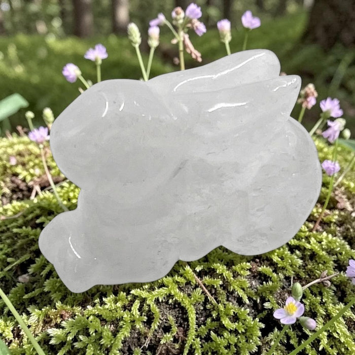 Clear quartz bunny on a green mossy surface with small purple flowers