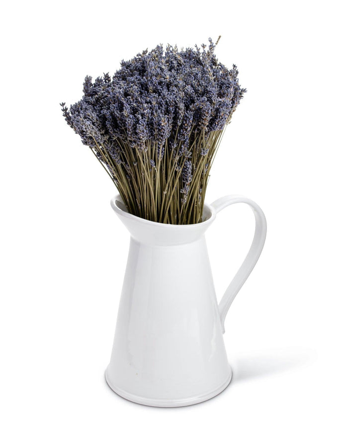 Dried French lavender bunches in vase on white background