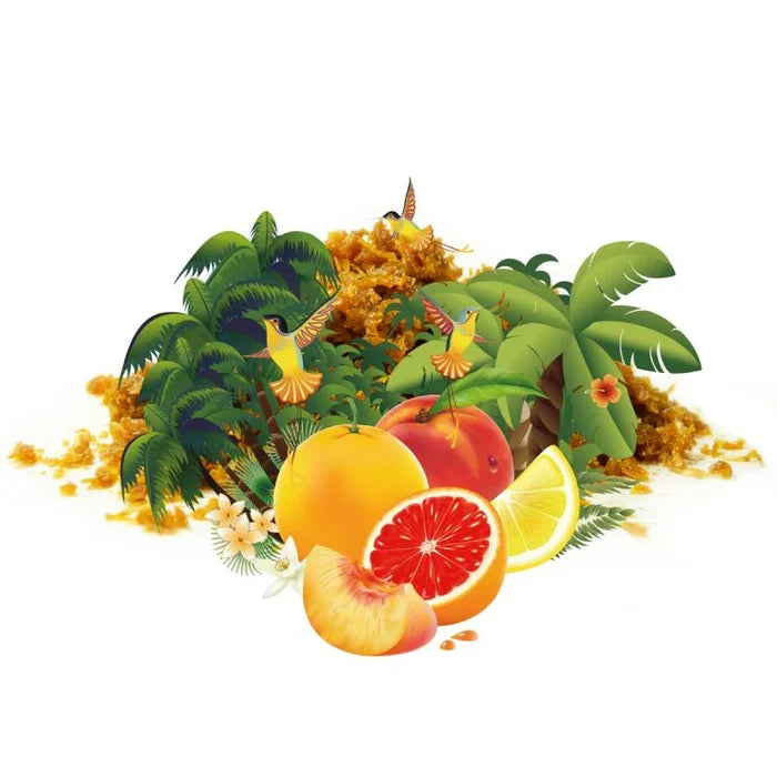 Eternal Smoke Tropical Ball (Fruity Bubble) Hookah Shisha Tobacco Flavor -
