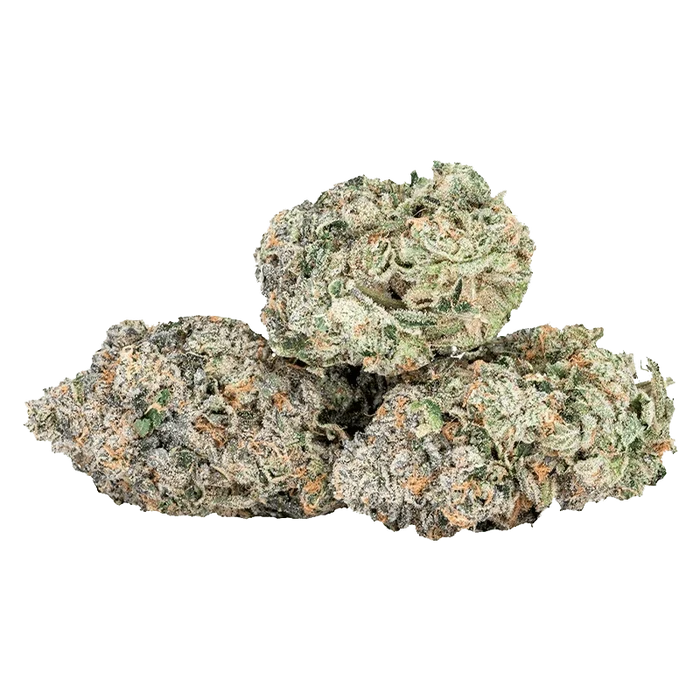 Close-up of three frosty EXPO67 cannabis buds showing green, purple, and orange hairs with dense crystalline trichomes.
