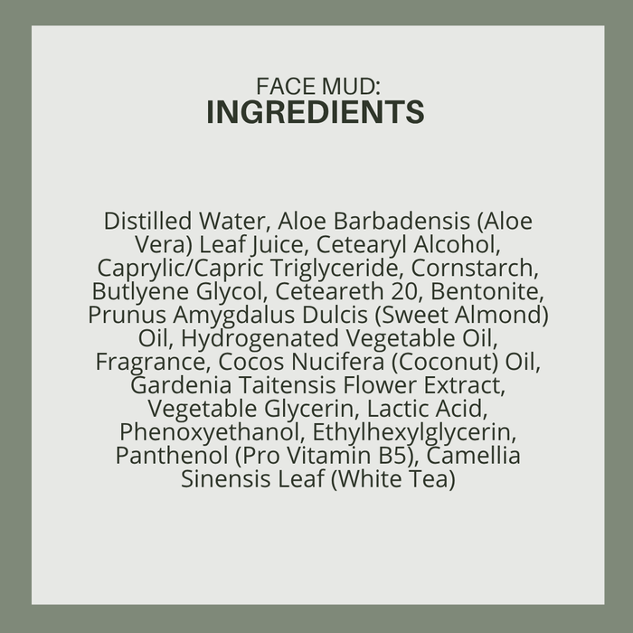 Face Mud: Dead Sea Mud Clay mask