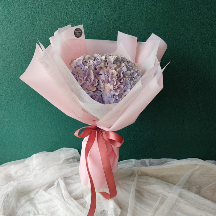 Flower by Project Catnip
