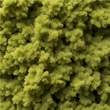 Fragrance Oil - Egyptian Oakmoss (bulk)