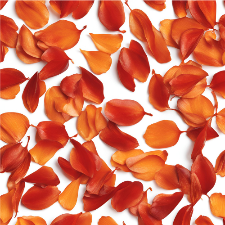 Fragrance Oil - Mandarin Petals & Red Amber (Makesy Dupe) (bulk)