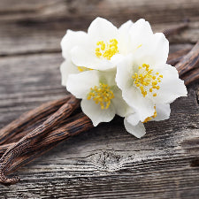 Fragrance Oil - Vanilla Oak (bulk)