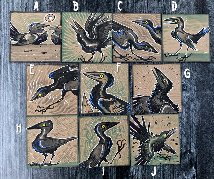GRACKLE PAINTING