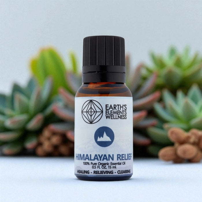 Bottle of Earth's Elements Wellness Himalayan Relief essential oil with succulents in the background