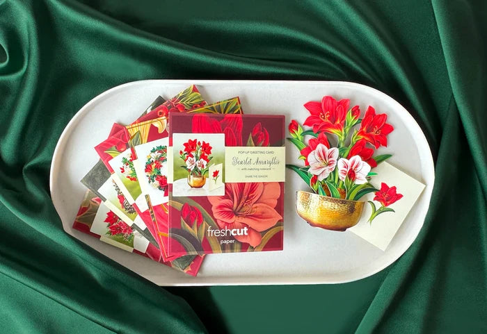 Holiday Collection Boxed Set of 5 Mini Holiday Pop-Up Greeting Cards