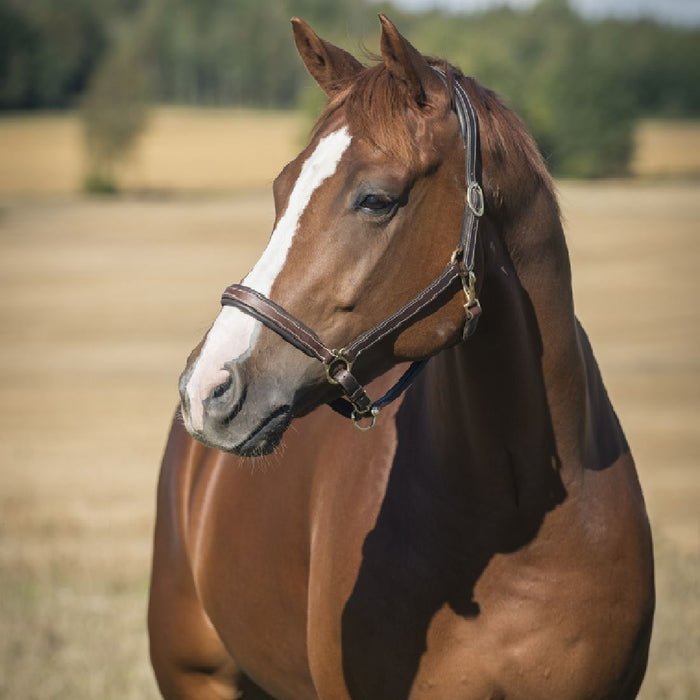 Horze Largo Halter