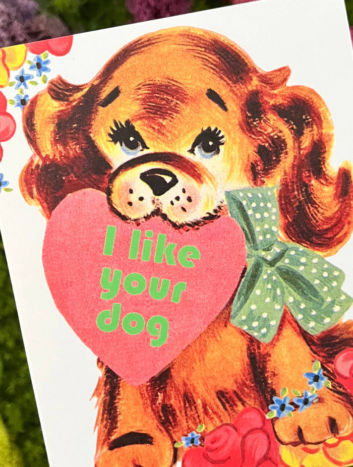 Funny "I Like Your Dog" Valentine card by The Coin Laundry featuring playful dog illustration and love message.
