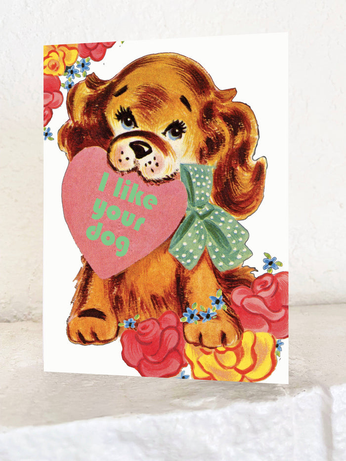 Funny Valentine’s Day card by The Coin Laundry with "I Like Your Dog" message, featuring playful dog illustrations on a greeting card.