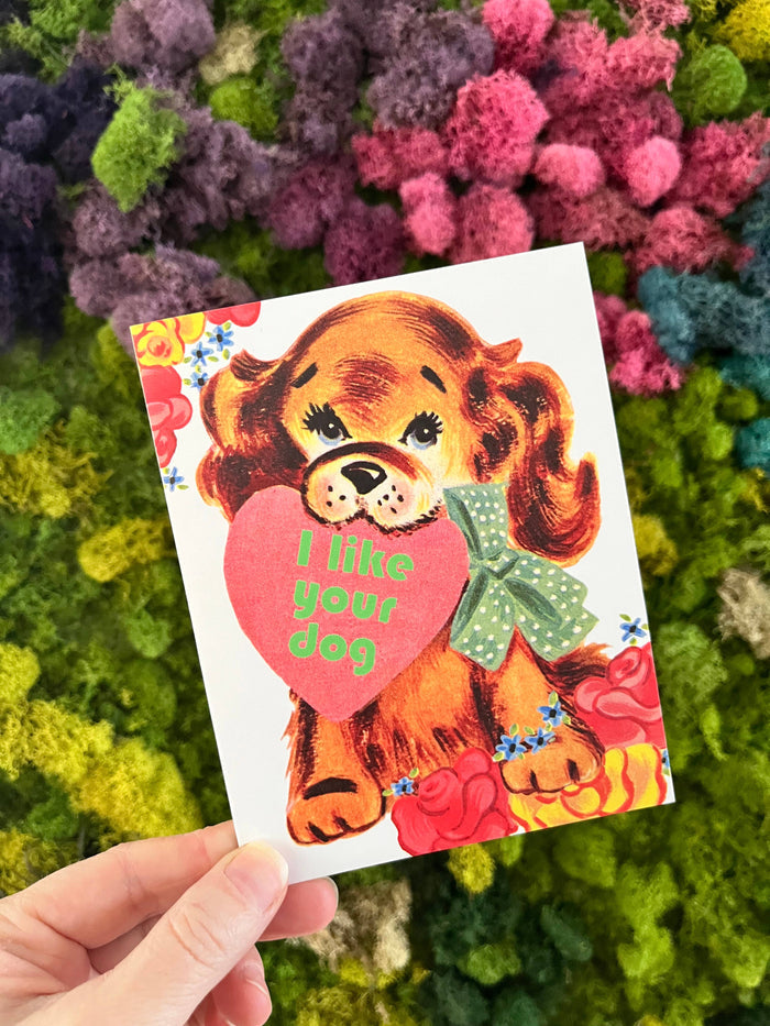 Funny Valentine’s Day card from The Coin Laundry featuring the message "I Like Your Dog" on a colorful, illustrated greeting card.
