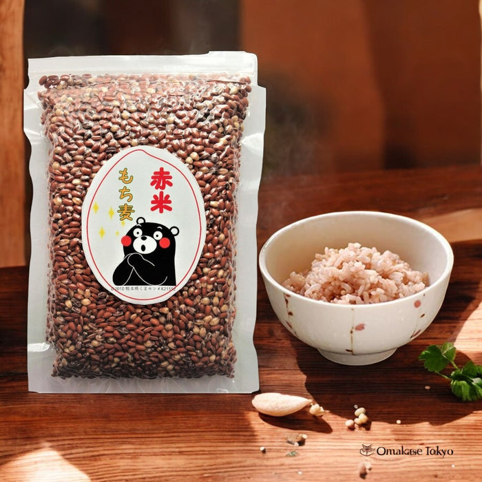 Kyushu's Great Nature Shiraki Rice