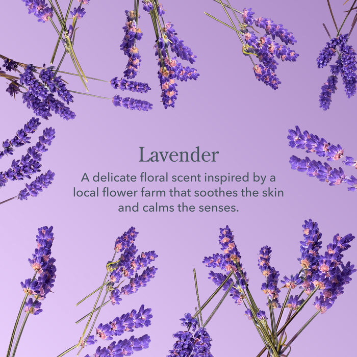 Lavender Hand & Body Wash