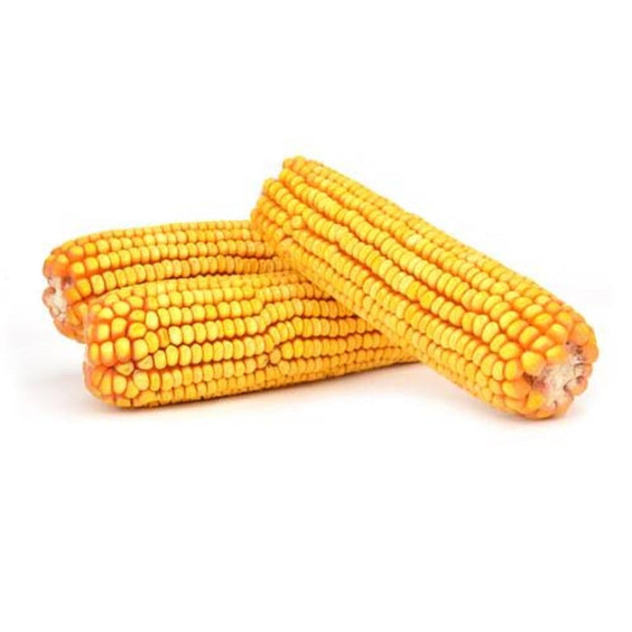 Lizzie Mae's Earcorn
