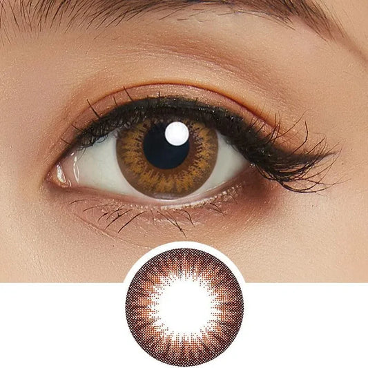 Lucia 1-Day Almond Brown (10pk) Colored Contacts Circle Lenses - EyeCandys