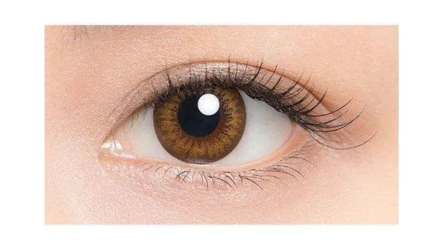 Lucia 1-Day Almond Brown (10pk) Colored Contacts Circle Lenses - EyeCandys