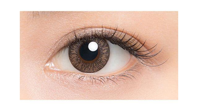 Lucia 1-Day Ash Brown (10pk) Colored Contacts Circle Lenses - EyeCandys