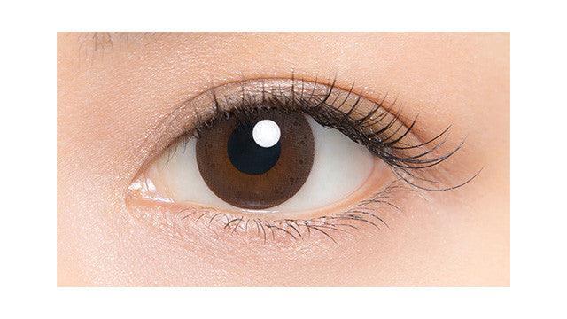 Lucia 1-Day Veil Brown (10pk) Colored Contacts Circle Lenses - EyeCandys