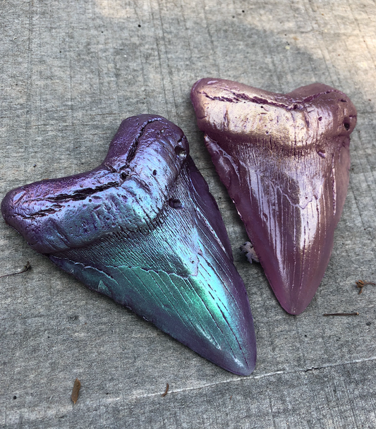 MEGALODON CAST SHARK TOOTH- CUSTOM ORDER