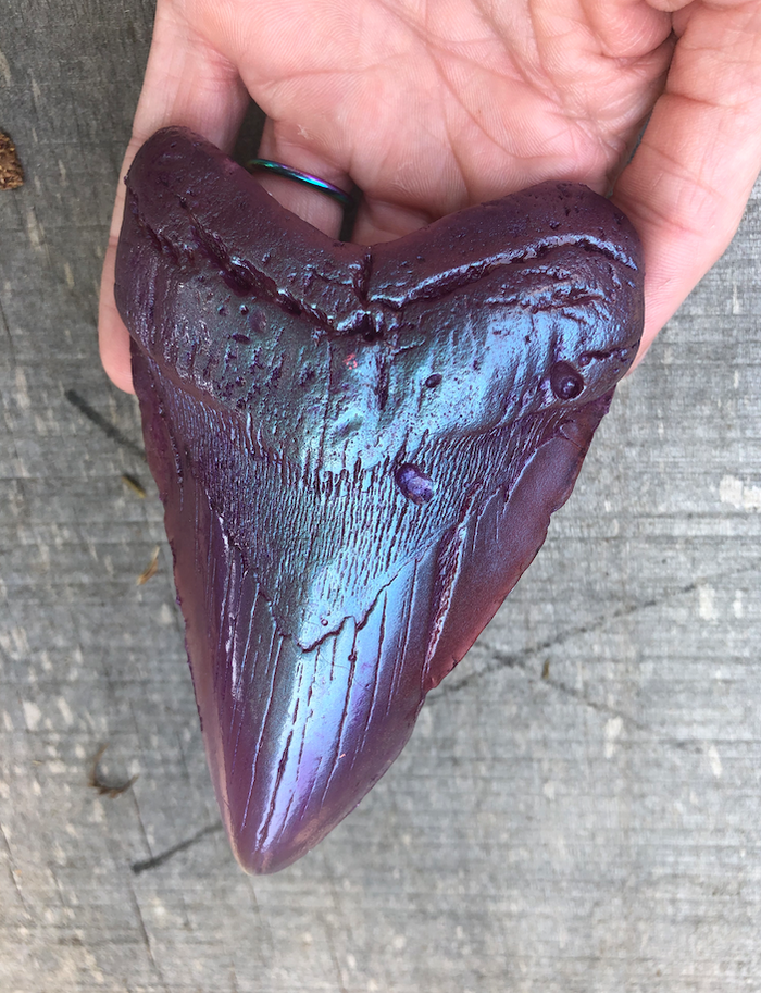MEGALODON CAST SHARK TOOTH- CUSTOM ORDER