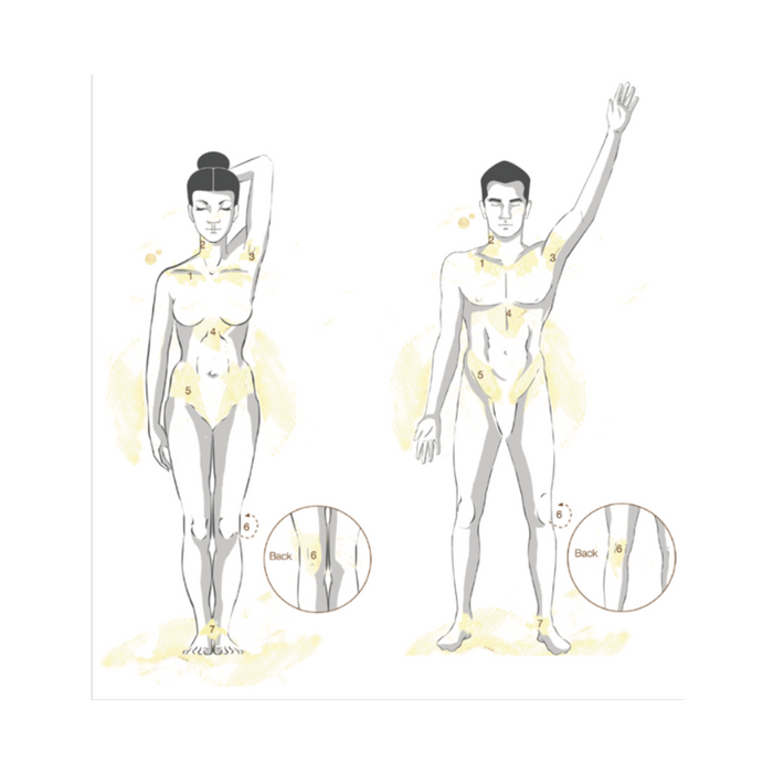 An instructional skincare diagram featuring two minimalist human illustrations—a female figure on the left with one hand behind her head and a male figure on the right with an arm raised upward. Key application zones across the décolleté, neck, underarms, midsection, pelvic area, and ankles are highlighted in a soft yellow wash and marked with numbers from 1 to 7. Two circular inset details at the bottom of the diagram zoom in on the back of the knees, labeled number 6, demonstrating specific application zo