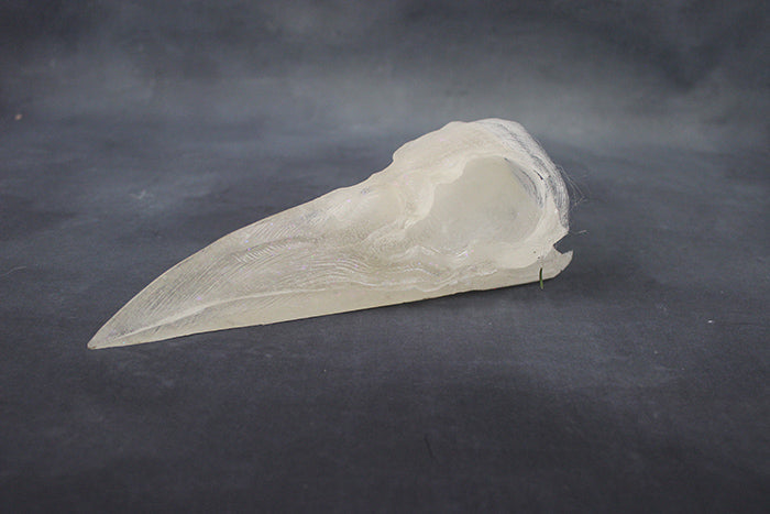 MISCAST CROW SKULL