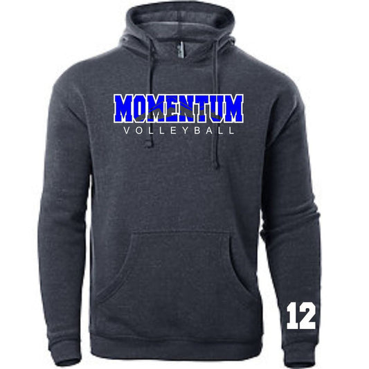 Momentum Volleyball Unisex Mountain Hoodie- Matte or Glitter