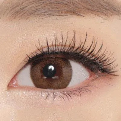 A close-up of a brown eye with long lashes and a groomed brow, enhanced by NEO Vision Extra Dali Brown contact lenses with a soft brown limbal ring, showing clear skin and subtle makeup.