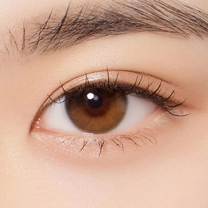 Close-up of a brown eye with long lashes and a well-groomed brow, wearing Olola Daymood 1-Day Brown (10pk) contacts by Olola for myopia, with smooth light-toned skin and natural makeup.