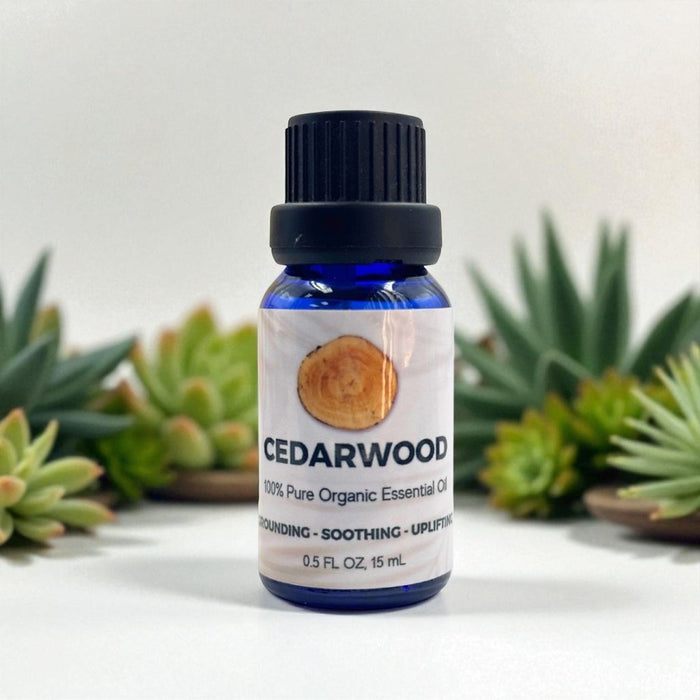 Bottle of Cedarwood essential oil with succulent plants in the background