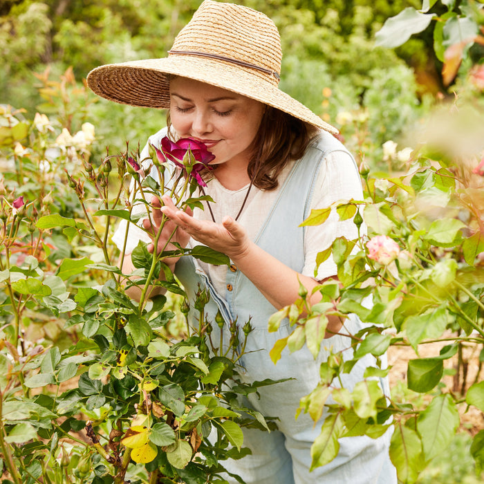 Laurel Skin-Petal Alchemy: Strengthen + Flourish-Skincare-LaurelwithRose-The Detox Market |