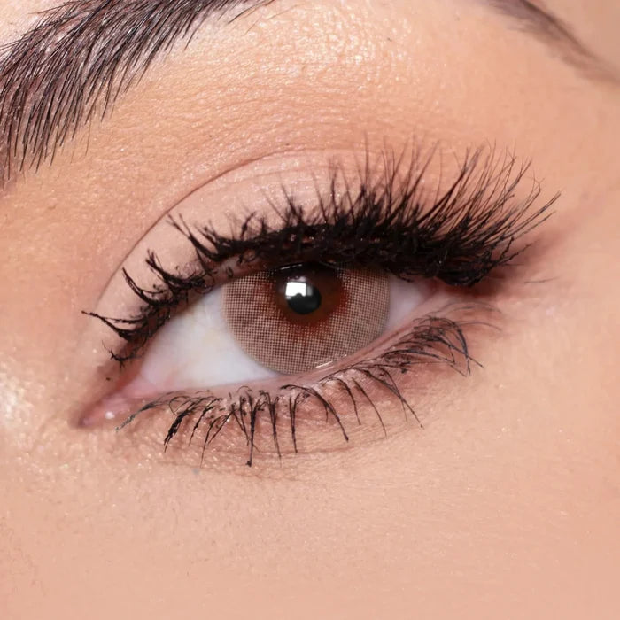 Close-up shot of a model with natural dark eyes wearing Dewy Brown contact lenses, complemented by natural eye make up. Close-up image showcases the model's eyes adorned with the same light brown contact lenses.