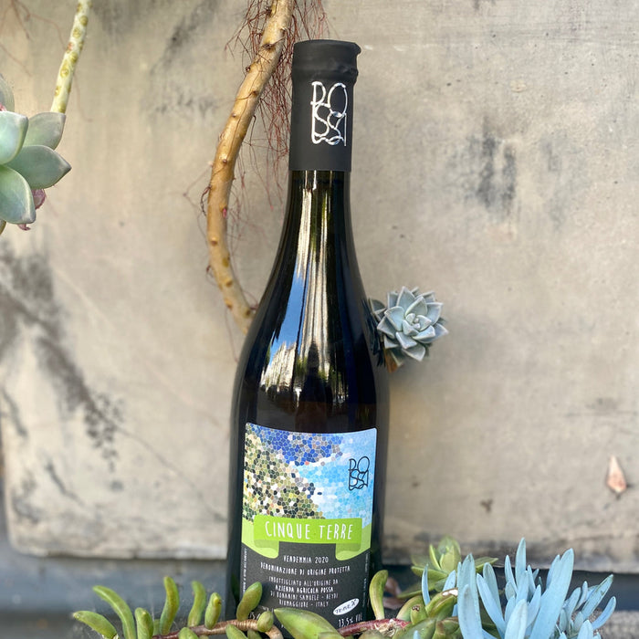 Possa Cinque Terre white 2022 bottle, dark foil cap and green-blue mosaic label