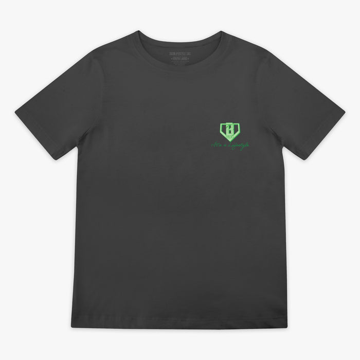 Gray t-shirt with green BL101 logo with 'Bag chasing' text