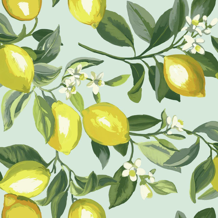 Yellow, Teal / Roll