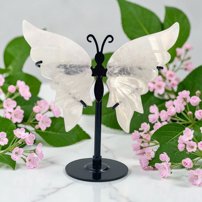 Rose Quartz Butterfly Wings on a Black Stand