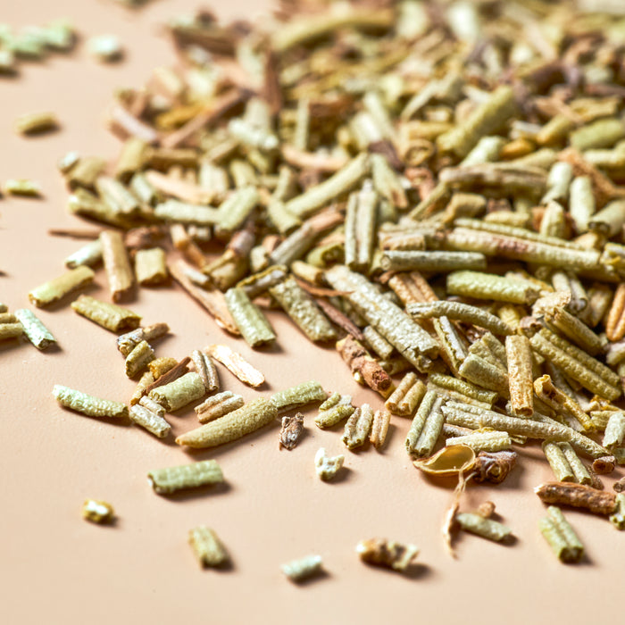 Rosemary - Botanical - product detail
