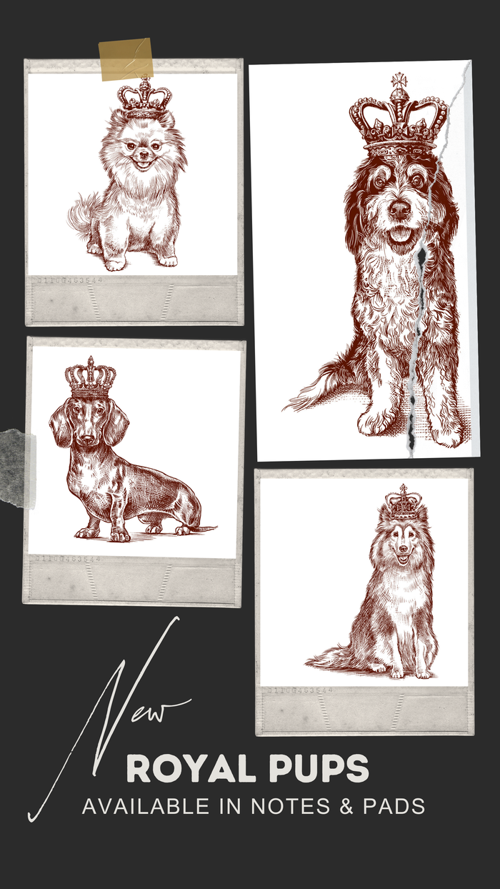 Royal Dachshund Long Pad notepad by Alexa Pulitzer featuring a detailed illustration of a long-haired dachshund on the cover.