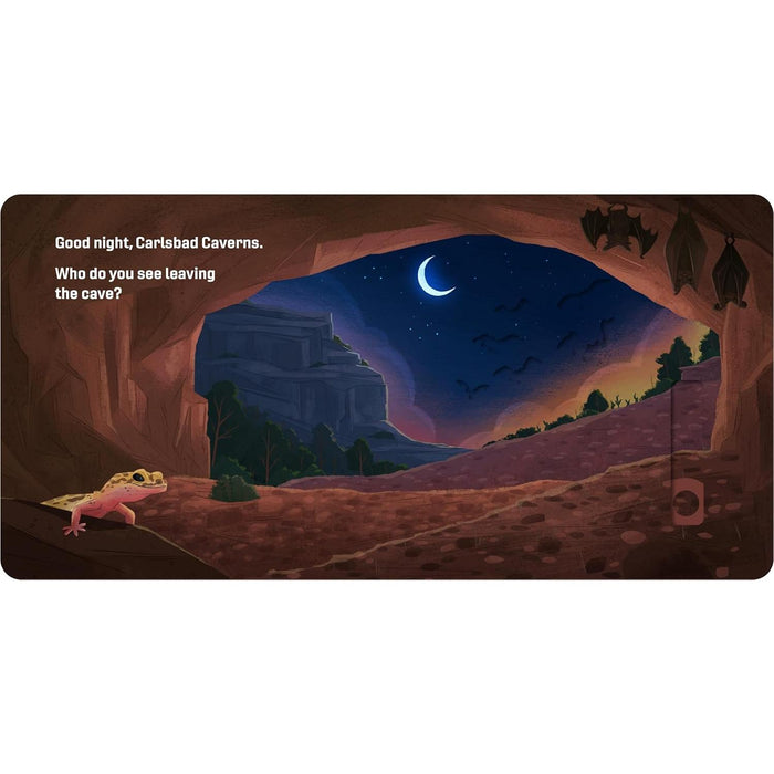 Simon & Schuster - Good Night, National Parks - Board Book-Simon & Schuster-treehaus