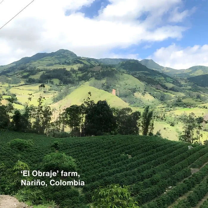 Single Origin Coffee ESPRESSO ROAST - El Obraje, Colombia