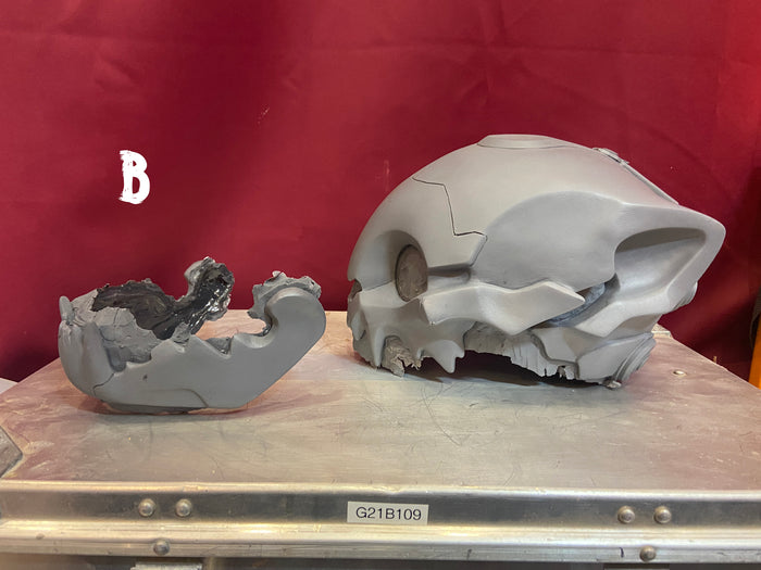 SPACE CAT BLANK CASTS ***MISCASTS**