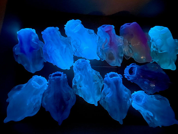 SPIRIT HOUSE CRYSTAL SKULL