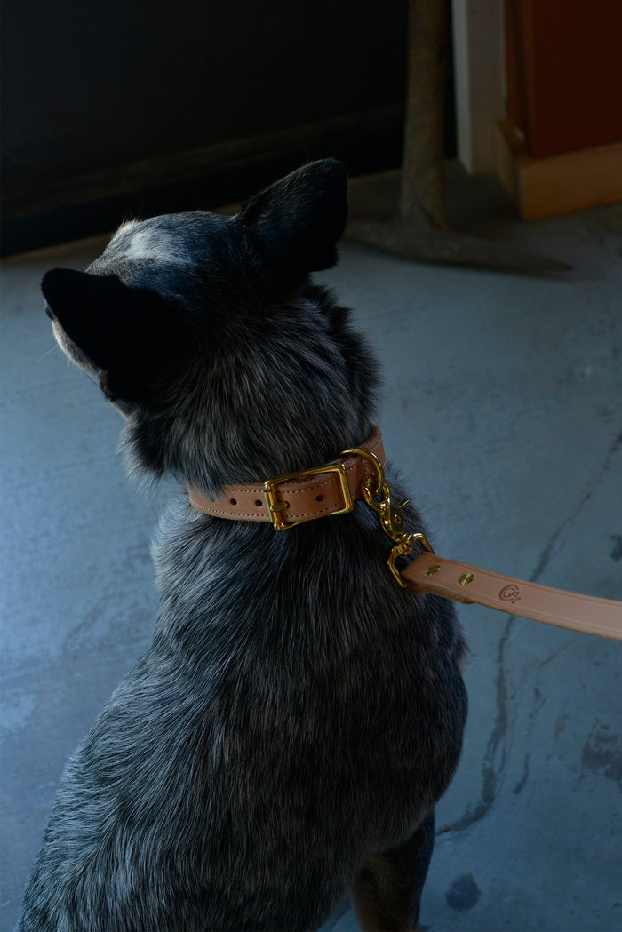Spud's Leash