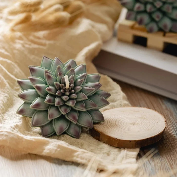 succulent candle - candlestock.com