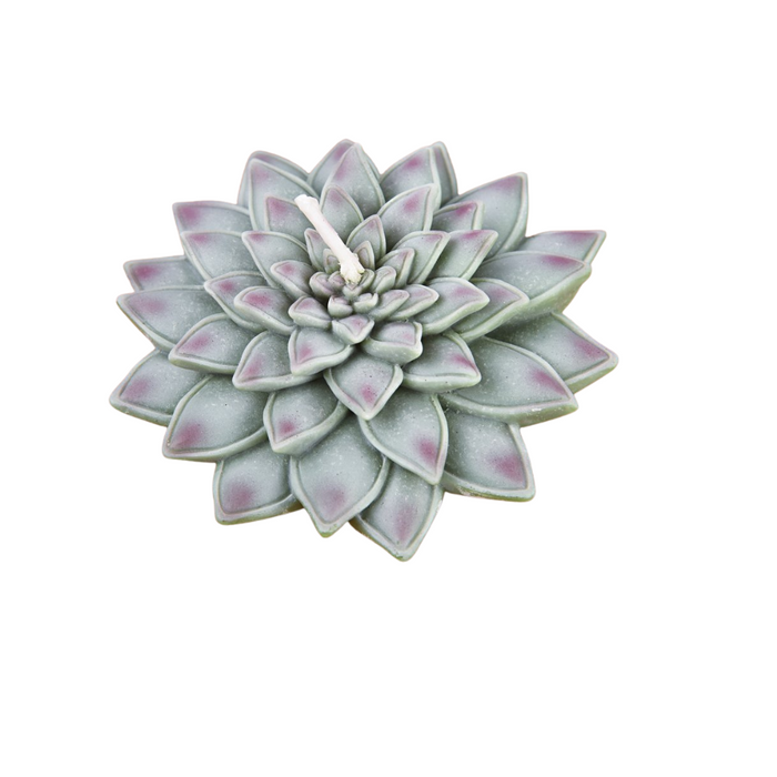 Succulent Candle