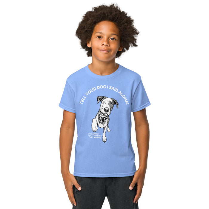 Carolina Blue / XS