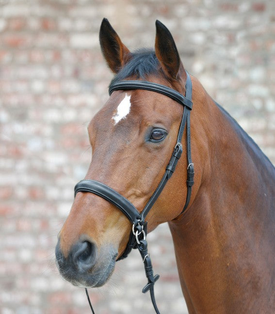 Waldhausen Bitless Bridle